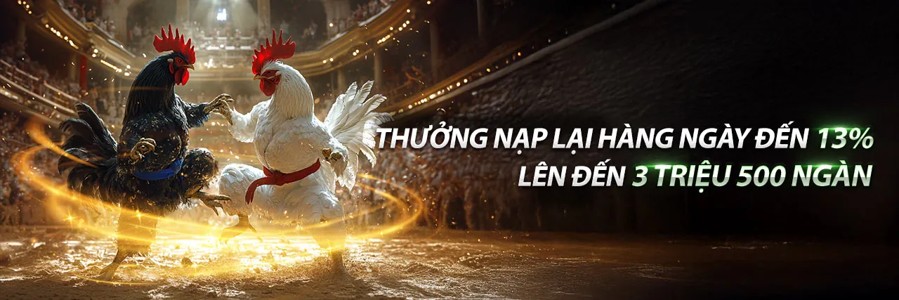 Đá gà trực tuyến vvwin