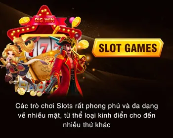 Câu hỏi thường gặp vvwin